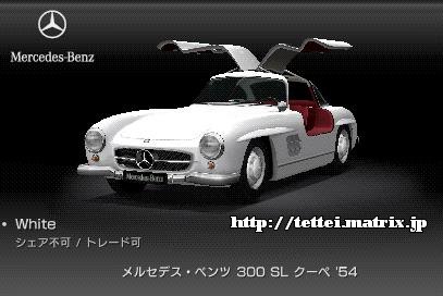 300 SL N[y '54